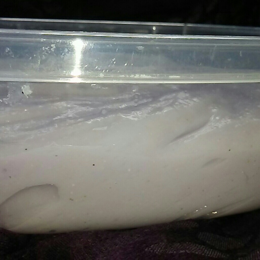 SLIME - Picture 4 of 6